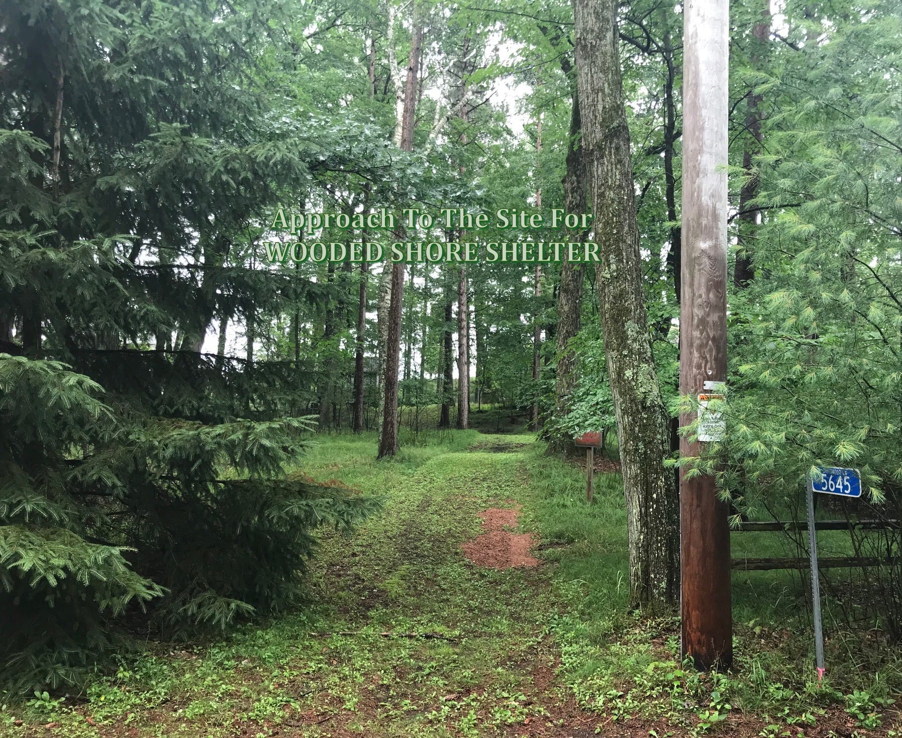 Wooded Shore Shelter, image 8
